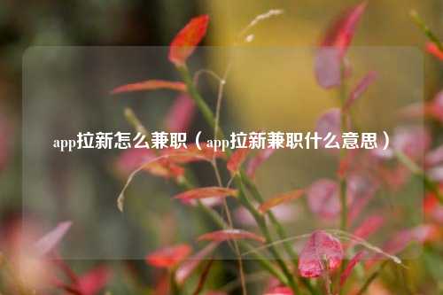 app拉新怎么兼职（app拉新兼职什么意思）