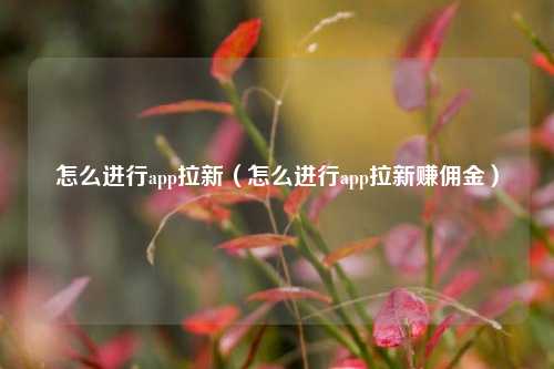 怎么进行app拉新（怎么进行app拉新赚佣金）