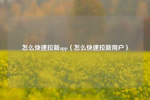 怎么快速拉新app（怎么快速拉新用户）