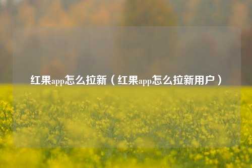 红果app怎么拉新（红果app怎么拉新用户）