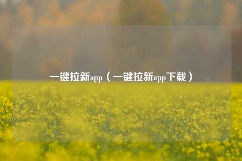 一键拉新app（一键拉新app下载）