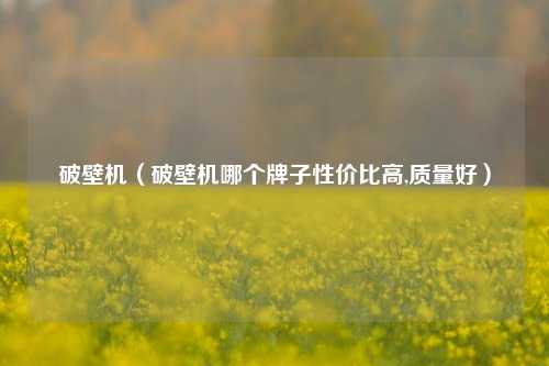 破壁机（破壁机哪个牌子性价比高,质量好）