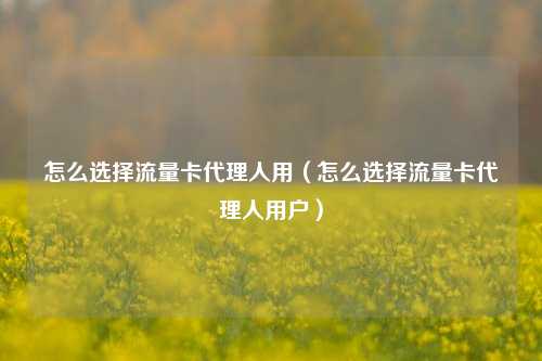 怎么选择流量卡代理人用(怎么选择流量卡代理人用户)