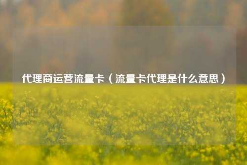 代理商运营流量卡(流量卡代理是什么意思)