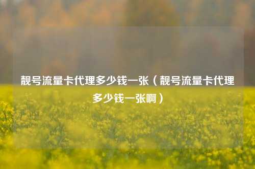 靓号流量卡代理多少钱一张（靓号流量卡代理多少钱一张啊）