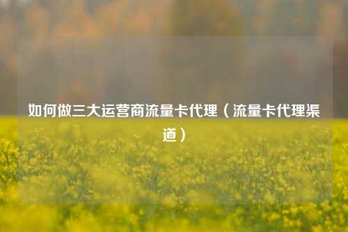 如何做三大运营商流量卡代理（流量卡代理渠道）