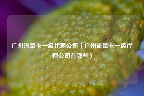 广州流量卡一级代理公司（广州流量卡一级代理公司有哪些）
