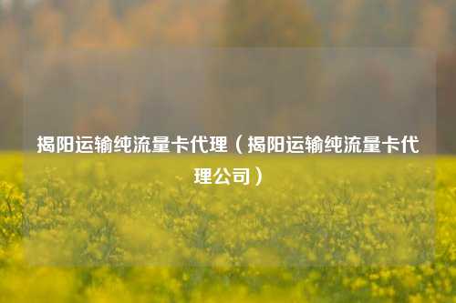 揭阳运输纯流量卡代理（揭阳运输纯流量卡代理公司）
