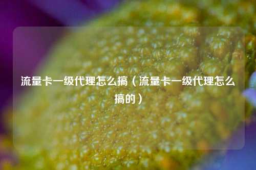 流量卡一级代理怎么搞（流量卡一级代理怎么搞的）