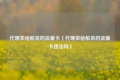 代理卖给船员的流量卡（代理卖给船员的流量卡违法吗）