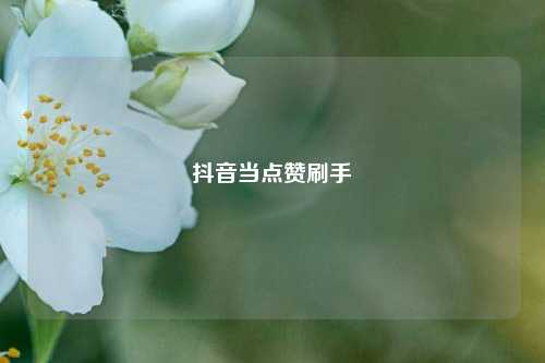 抖音当点赞刷手