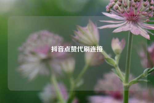 抖音点赞代刷连接