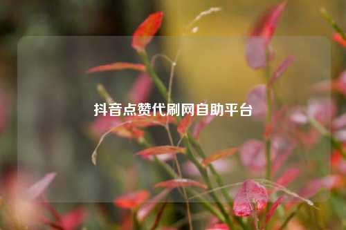 抖音点赞代刷网自助平台