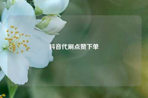 抖音代刷点赞下单