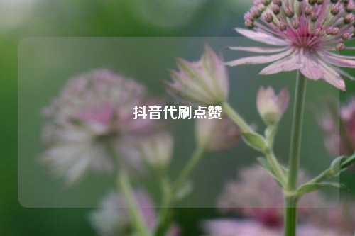 抖音代刷点赞