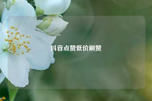 抖音点赞低价刷赞