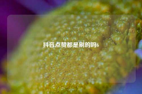 抖音点赞都是刷的吗6