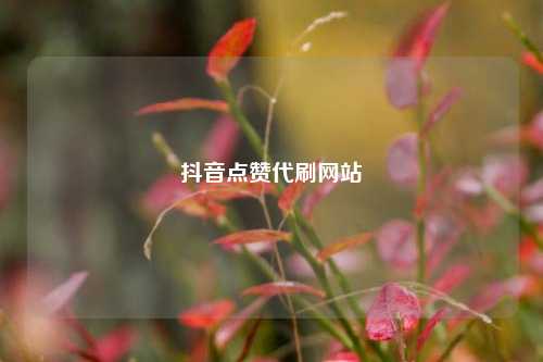 抖音点赞代刷网站