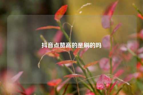 抖音点赞高的是刷的吗